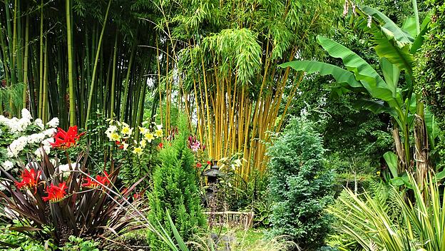 Asiatischer Garten