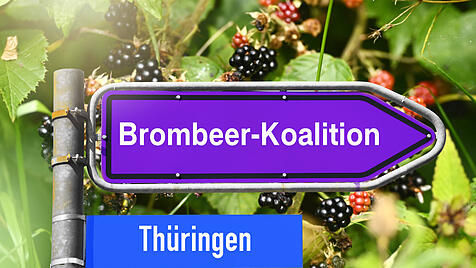 FOTOMONTAGE, Brombeer-Kalition