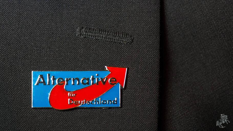 Alternative fuer Deutschland Anstecknadel am Revers eines Politikers