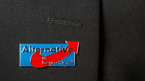 Alternative fuer Deutschland Anstecknadel am Revers eines Politikers