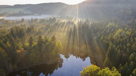 Licht in der Landschaft