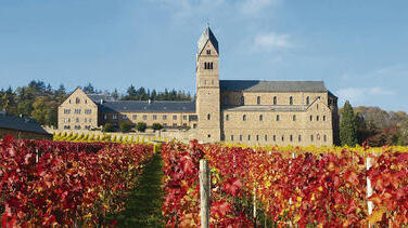 Blick über die Weinberge auf St. Hildegard in Rüdesheim Eibingen.