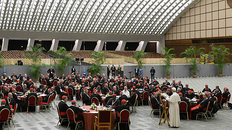 Papst Leo er&ouml;ffnet Konstistorium