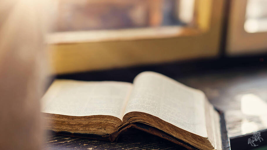 Sonntagslesung: Vertrauen auf die Vorsehung Gottes