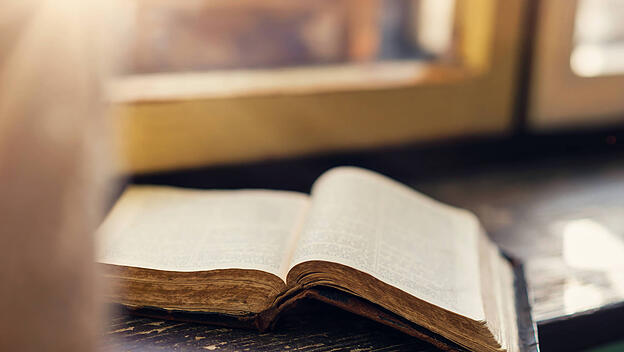 Sonntagslesung: Vertrauen auf die Vorsehung Gottes