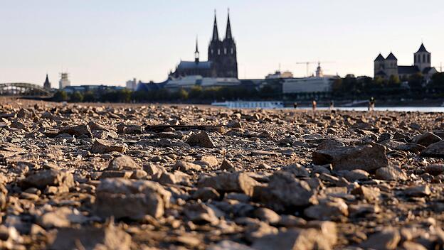 Der Rhein bei bei Köln bei starkem Niedrigwasser