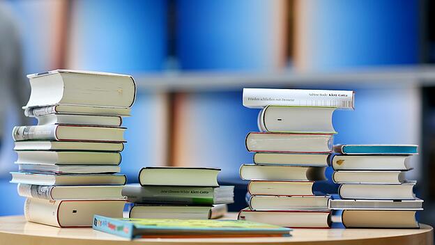 Der deutsche Roman in der Krise