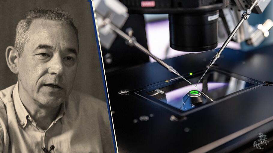 Laborzeugung von Menschen