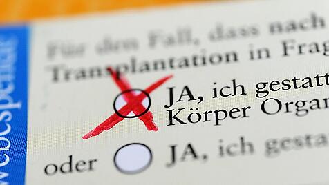 Debatte um Widerspruchsregelung bei Organspende