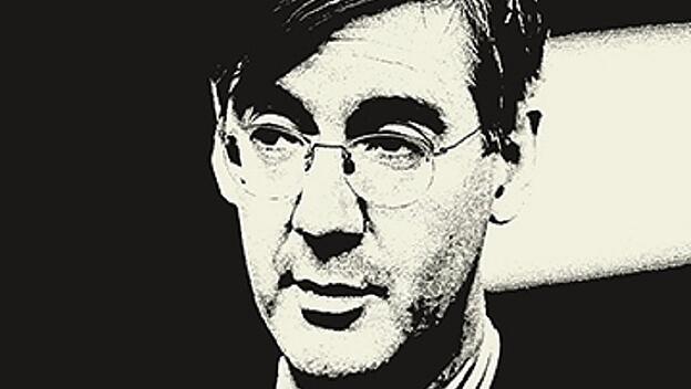 Jacob Rees-Mogg, Politiker