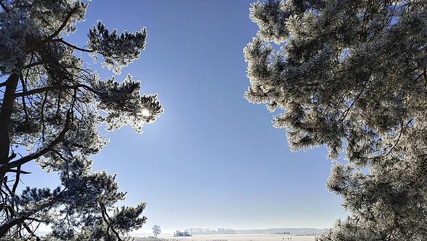 Winter bei starkem Frost durch das Elbetal