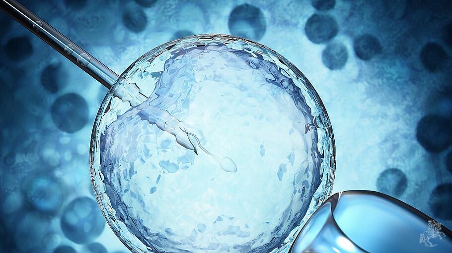 Wissenschaftler wollen erstmals ein vollständiges Embryomodell geschaffen haben