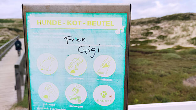 Sylt im Juni 2024