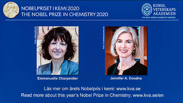 2020 Nobelpreis für Chemie