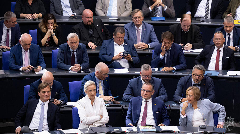AfD-Fraktion im Bundestag