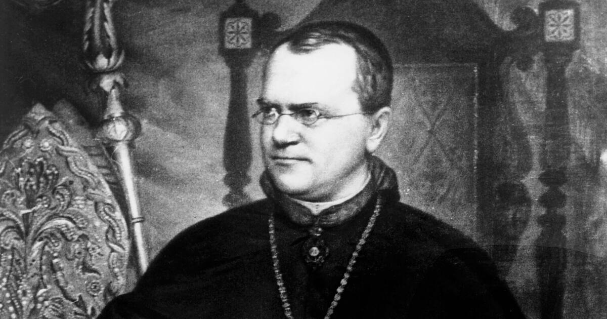 Opat, který znal vnitřní fungování hrachu