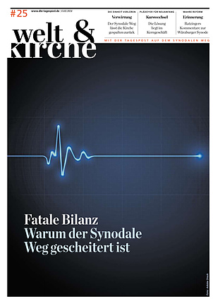 Welt & Kirche : Fatale Bilanz - Warum der Synodale Weg gescheitert ist