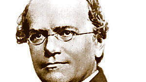Gregor Mendel,  Wissenschaftler