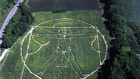 Leonardo da Vincis "Vitruvianischer Mensch"