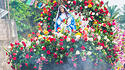 El Salvador, Marienstatue