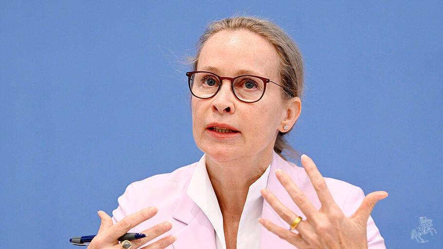 Frauke Brosius-Gersdorf, SPD-Kandidatin