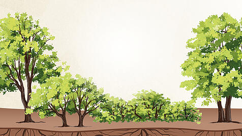 Symbolbild Katechese