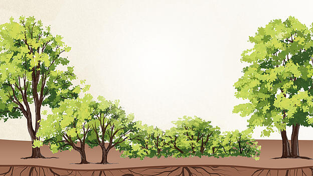 Symbolbild Katechese