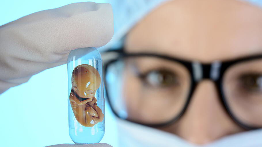 Embryo als Modell in Kapsel als Symbolbild für Embryonenforschung
