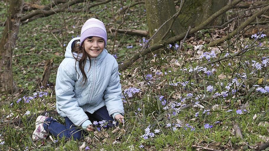 Frühling in der Natur