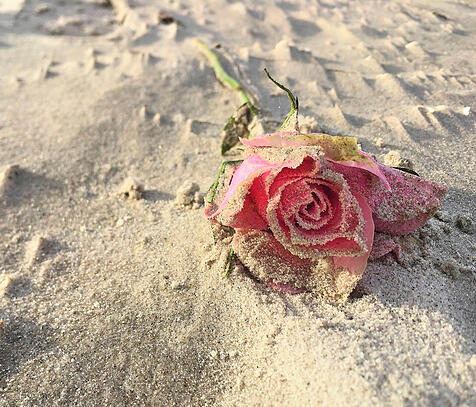 Jusos wollen Ehe abschaffen