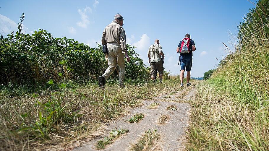 Ehemalige innerdeutsche Grenze