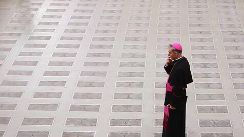 Erzbischof G&auml;nswein