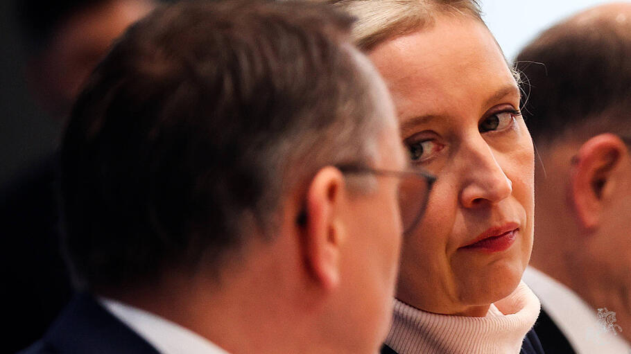 Alice Weidel und Tino Chrupalla