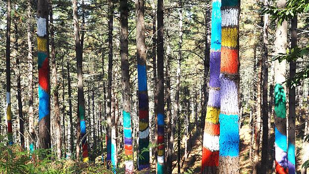 „Bosque de Oma“ des baskischen Künstlers Agustín Ibarrola