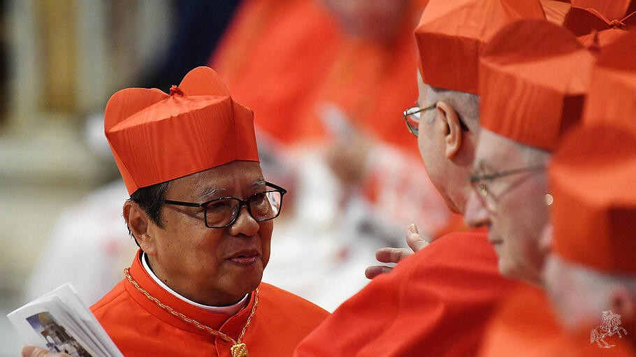 Laut Kardinal Suharyo freuen sich nicht nur Katholiken, sondern auch indonesische Muslime auf den Besuch von Papst Franziskus.