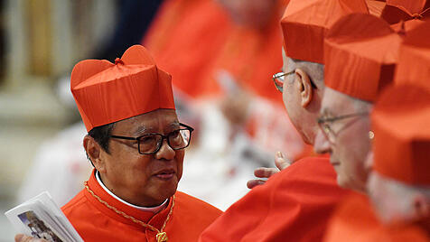 Laut Kardinal Suharyo freuen sich nicht nur Katholiken, sondern auch indonesische Muslime auf den Besuch von Papst Franziskus.