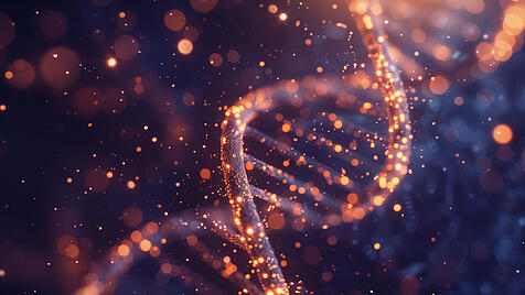 DNA-Doppelhelix