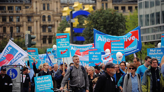 AfD-Demo