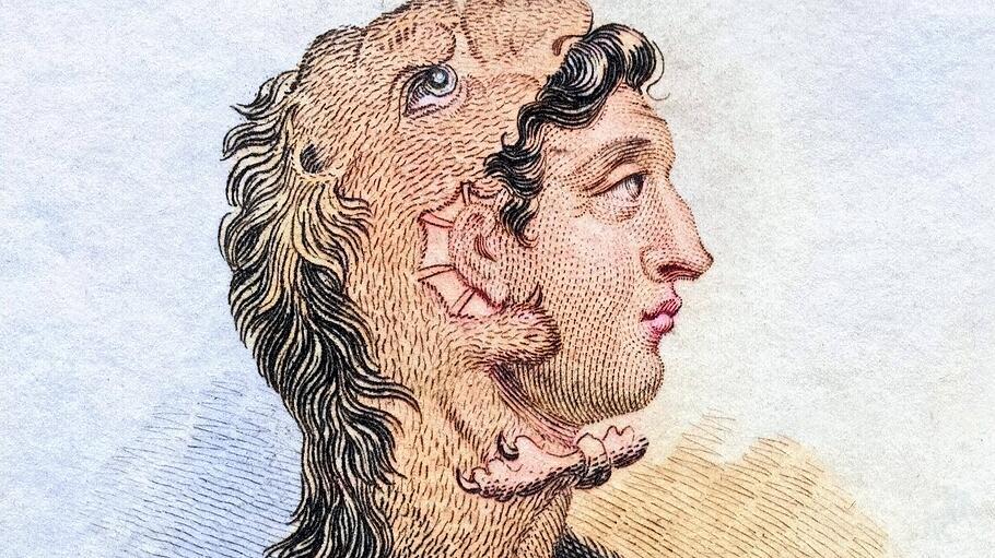 Kinderbuch von Ferdinand von Schirach