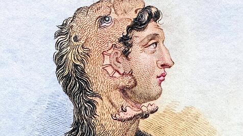 Kinderbuch von Ferdinand von Schirach