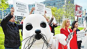 Tierschutzorganisation Peta fordert Ende der Robbenjagd