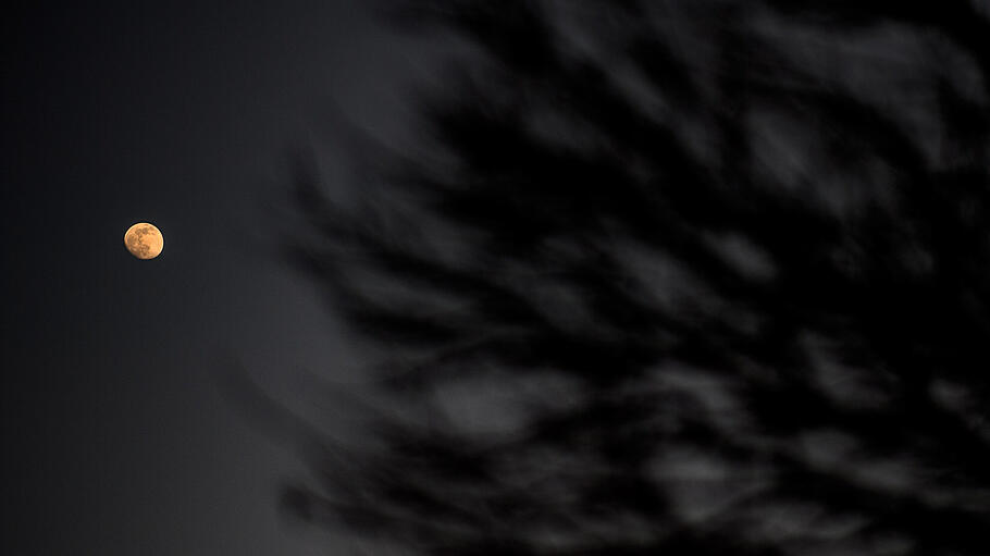 Gott ist die reine Wahrheit, der der Mensch sich durch seine Erkenntnisfähigkeit annähern kann.