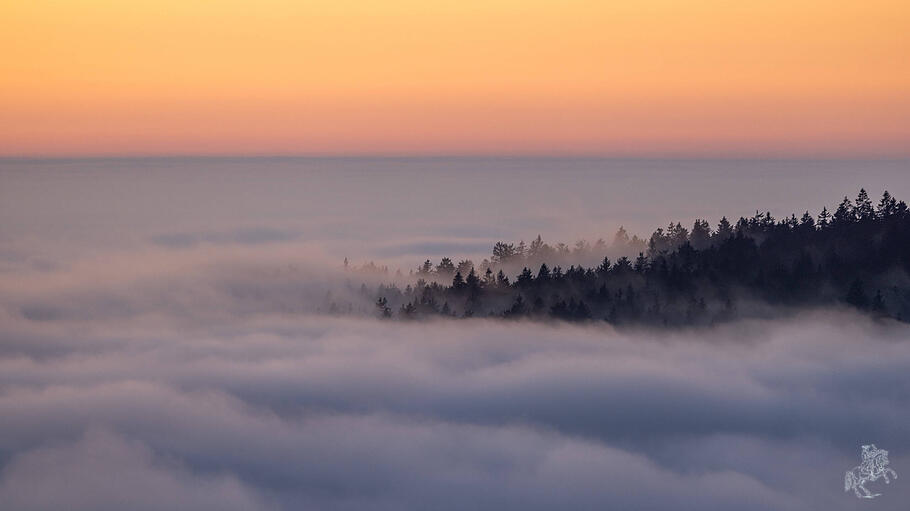Nebel
