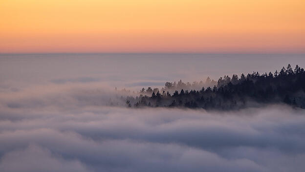 Nebel