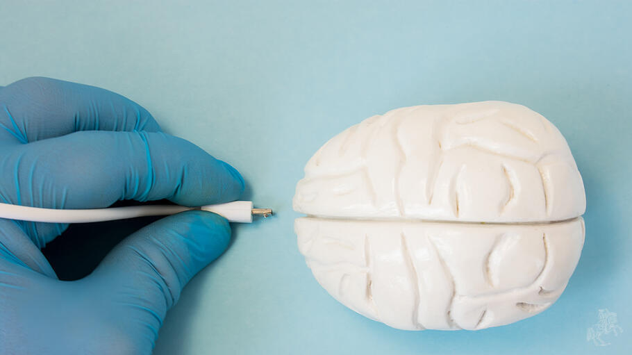 Schnittstelle Gehirn (Symbolbild)