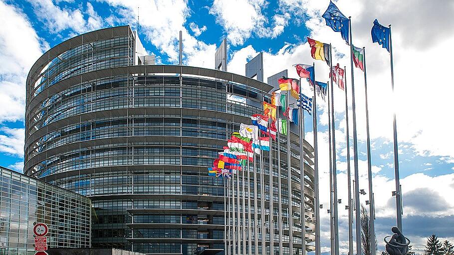 EP building Strasbourg, flags