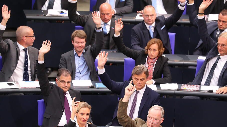 AfD im Bundestag