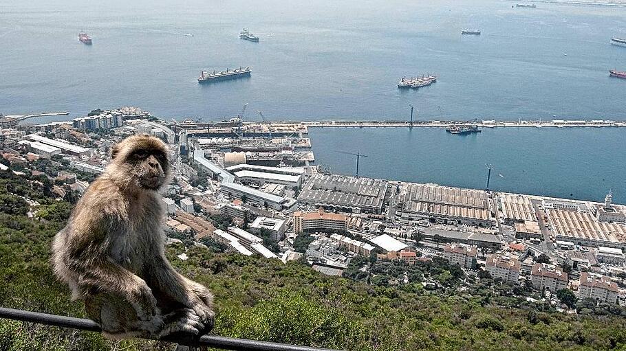 Historischer Spanien-Besuch in Gibraltar
