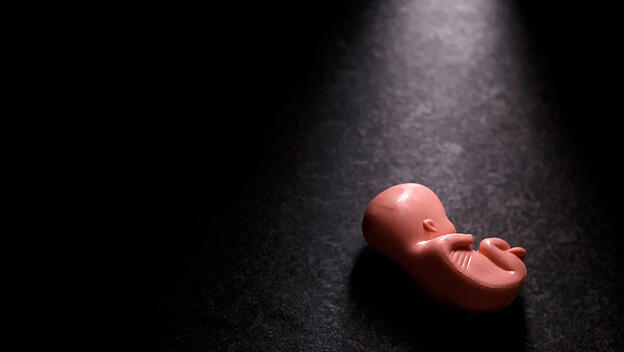 Abtreibungsstatistik f&uuml;r 2025