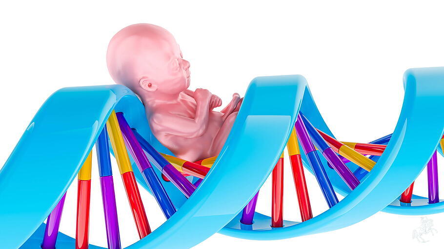 Symbolbild Embryo auf DNA-Doppelhelix
